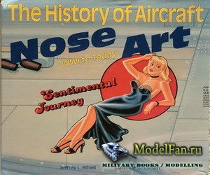 Haynes History of Aircraft Nose Art. WWI to Today