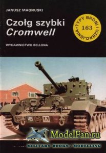 Typy Broni i Uzbrojenia (TBiU) 163 - Cromwell