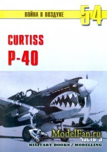  -    54 - Curtiss P-40 ( 3)