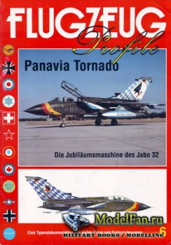 Flugzeug Profile Nr.6 - Panavia Tornado. Die Jubilaumsmaschine des Jabo 32