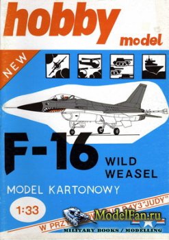 Hobby Model 5 - F-16 Fighting Falcon