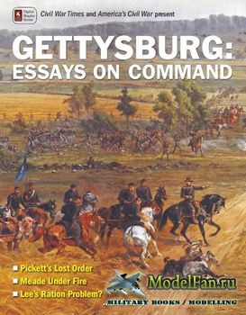 Gettysburg: Essays on Command