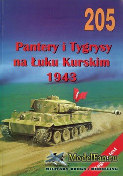 Wydawnictwo Militaria 205 - Panthers and Tigers at the Kursk Battle 1943