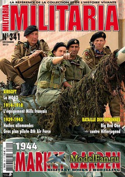 Armes Militaria Magazine 341 2013