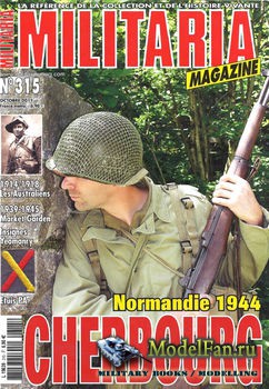 Armes Militaria Magazine 315 2011