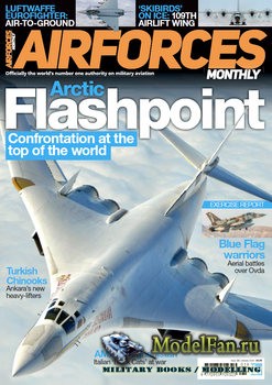 AirForces Monthly (January 2020) 382